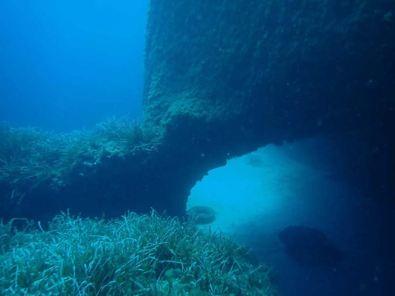 Foto de S'Algar Reef